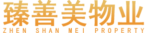 首页